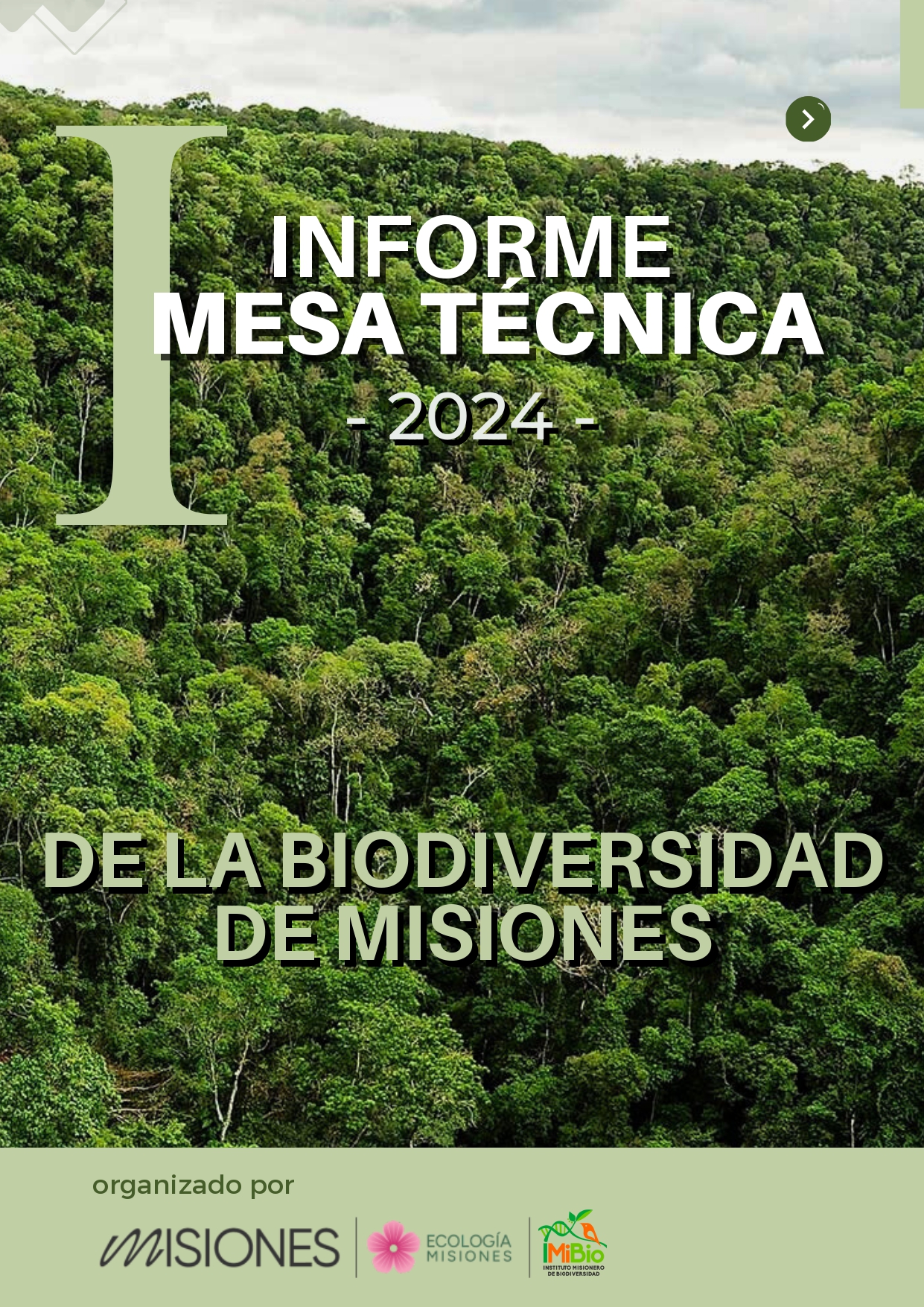 Imagen del informe Mesa Técnica